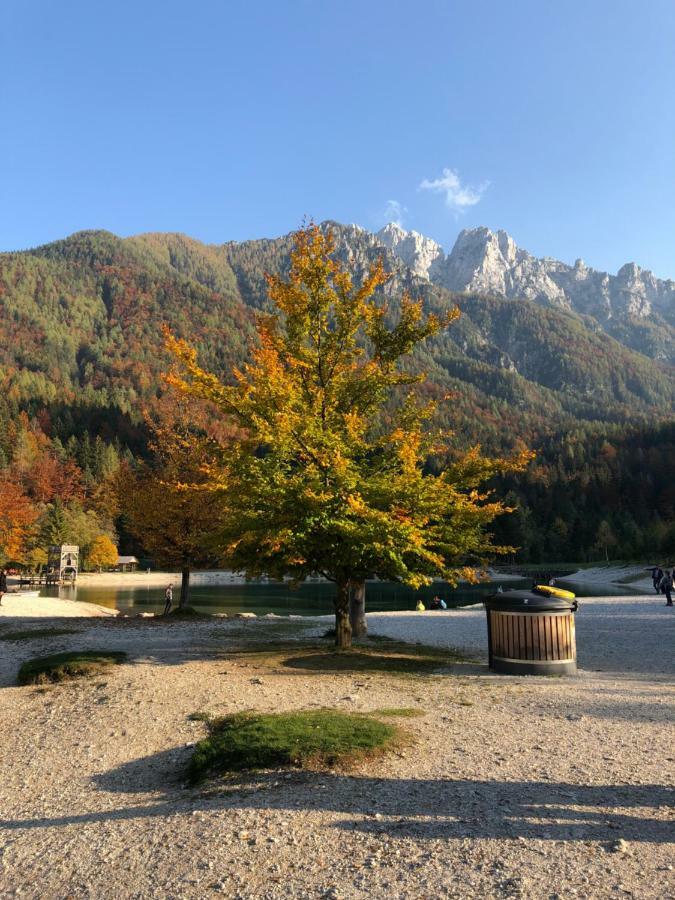 Apartments Vita Kranjska Gora Buitenkant foto